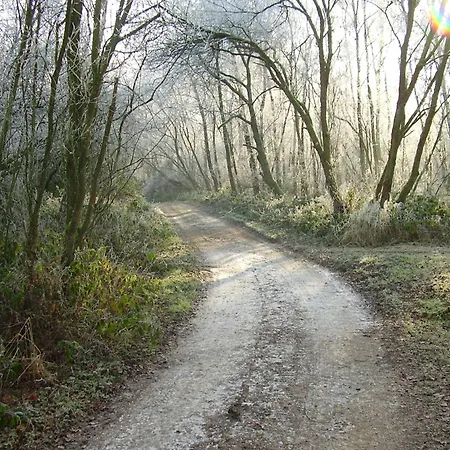 بيت للعطل 618